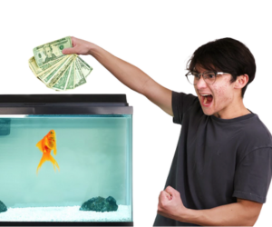 Michael Reeves goldfish: πλήρης ανάλυση